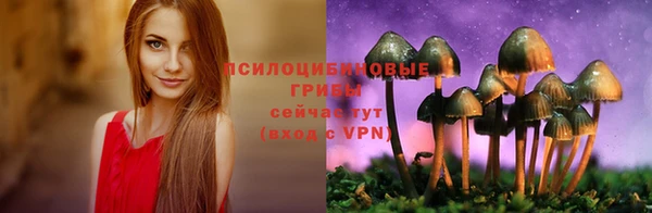 2c-b Алексеевка