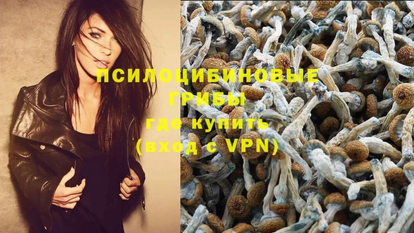 экстази Алзамай