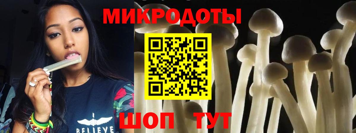 Галлюциногенные грибы мухоморы  Галлюциногенные грибы MAGIC MUSHROOMS  магазин  наркотиков  Вход с VPN  Карачаевск 